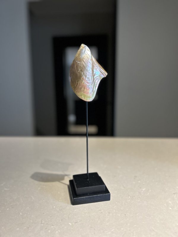 Schelp op standaard