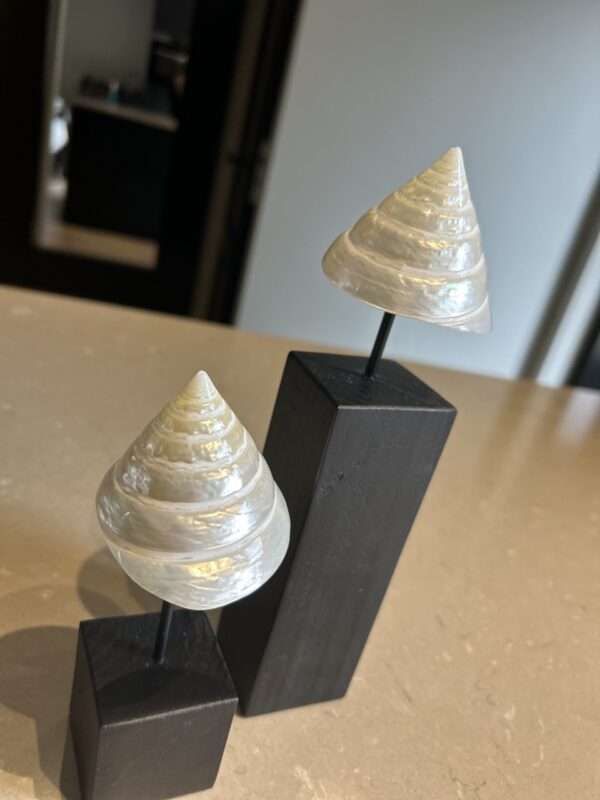 Schelp torentjes - Afbeelding 2