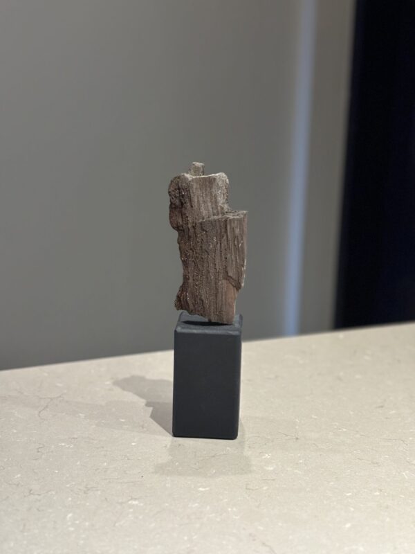 Versteend hout op voet