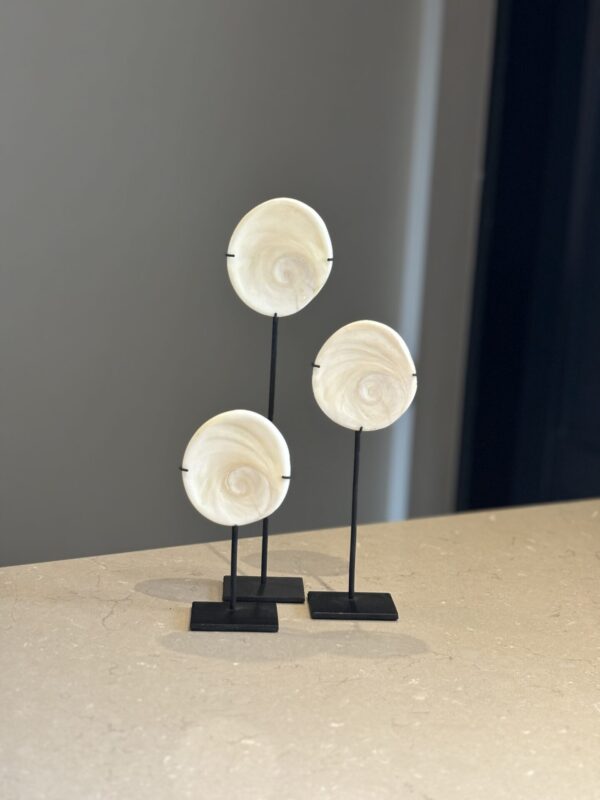 Schelpen ornament