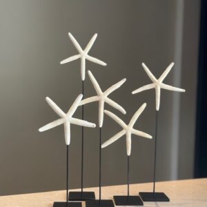 Zeesterren op zwarte standaard Puro Vivere Urk